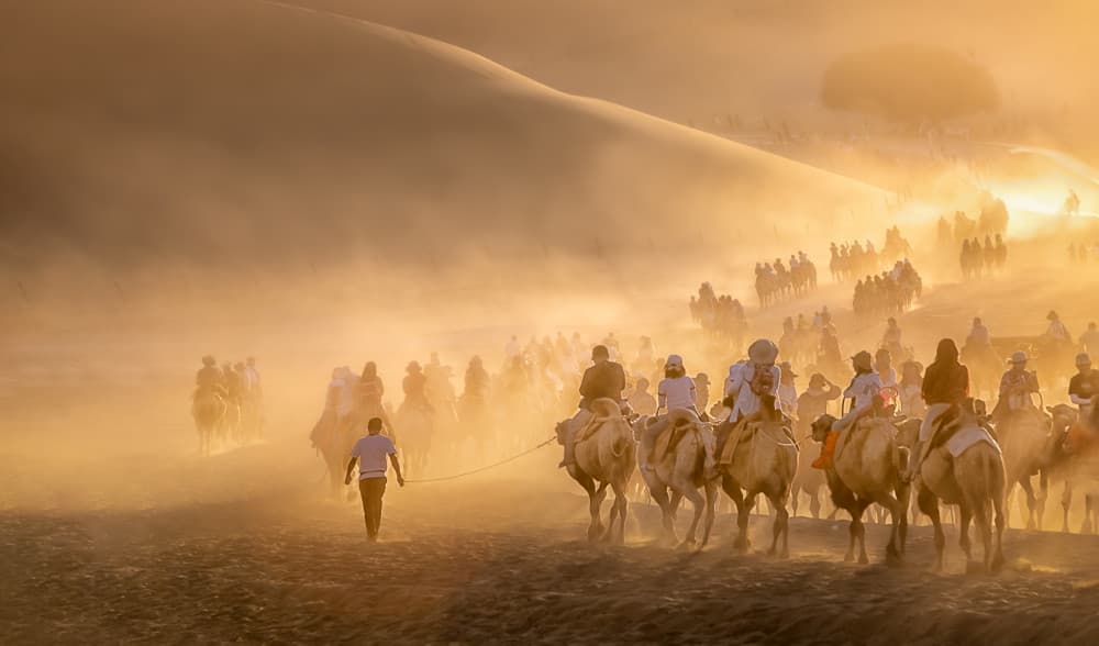 Golden Desert Caravan by Jianping Yang — canvas wall art