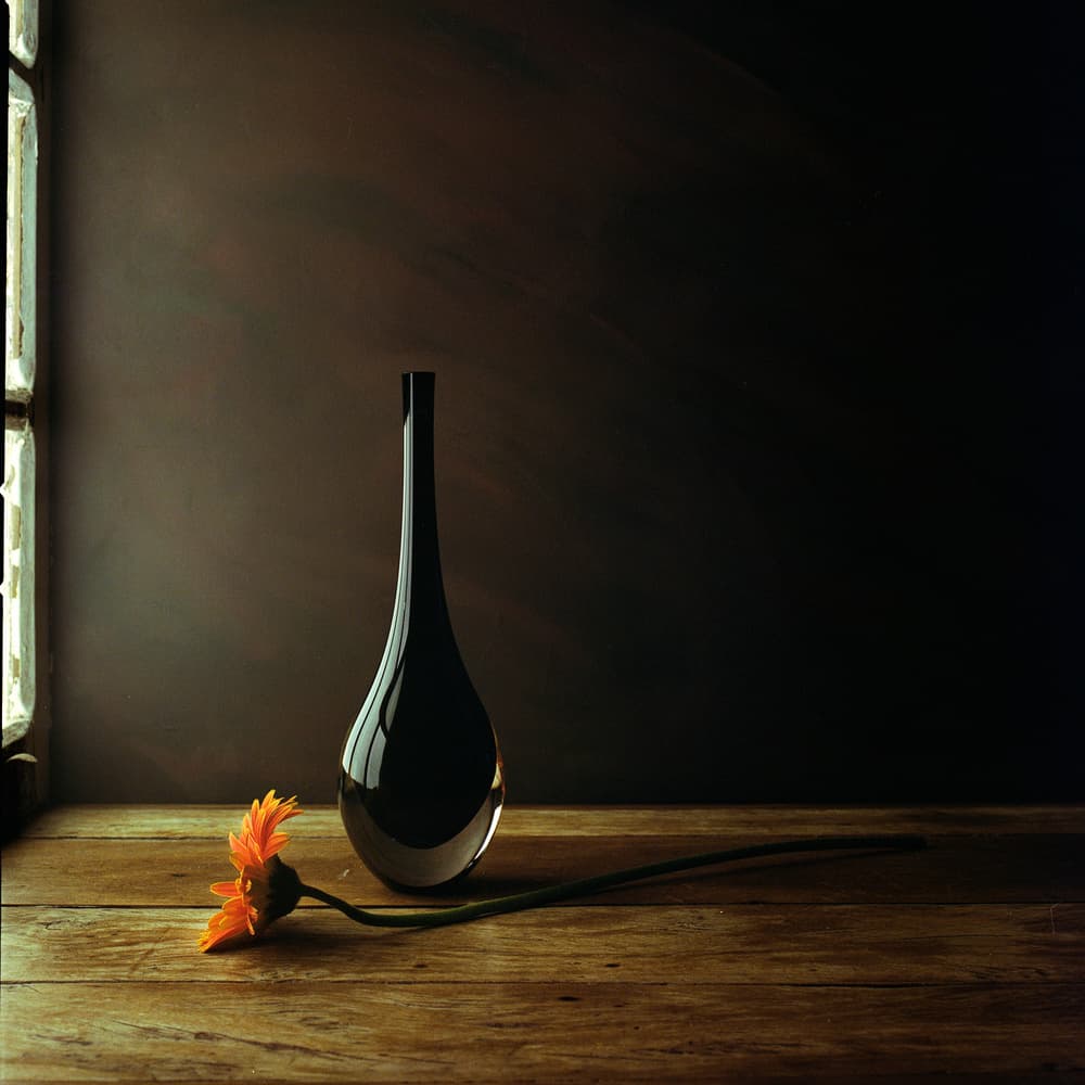 Elegant Vase Gerbera Still Life by Luiz Laercio — canvas wall art