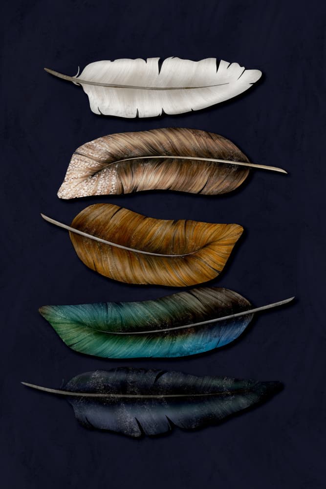 Deep Color Feathers by EMELIEmaria — canvas wall art