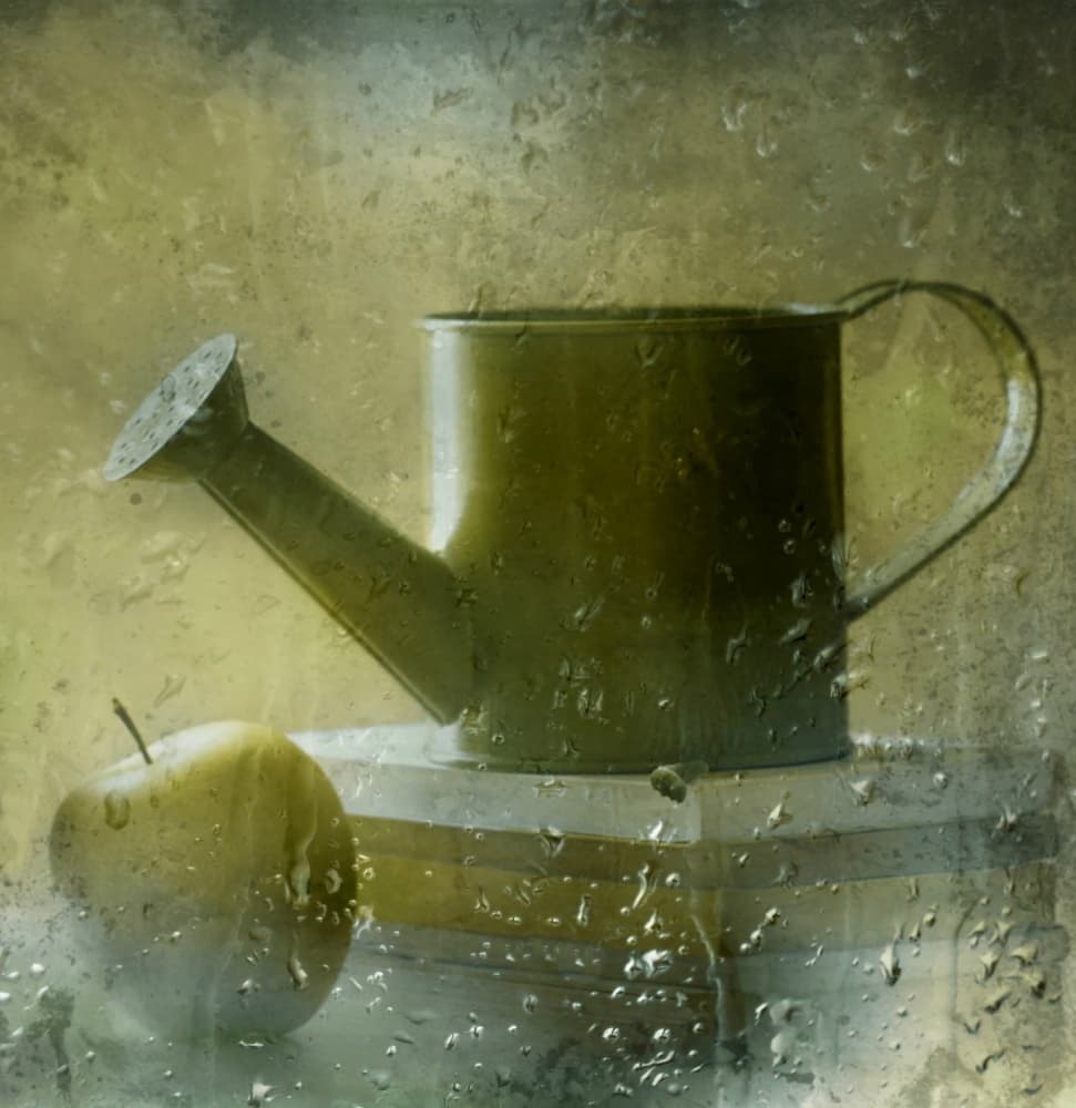 Rainy Window Still Life by Delphine Devos — canvas wall art