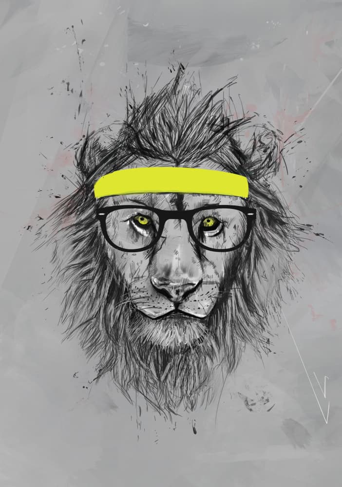 Sporty Lion With Glasses by Balazs Solti — canvas wall art