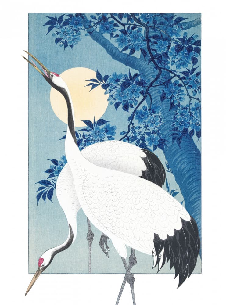 Japanese Cranes Moonlight Serenity