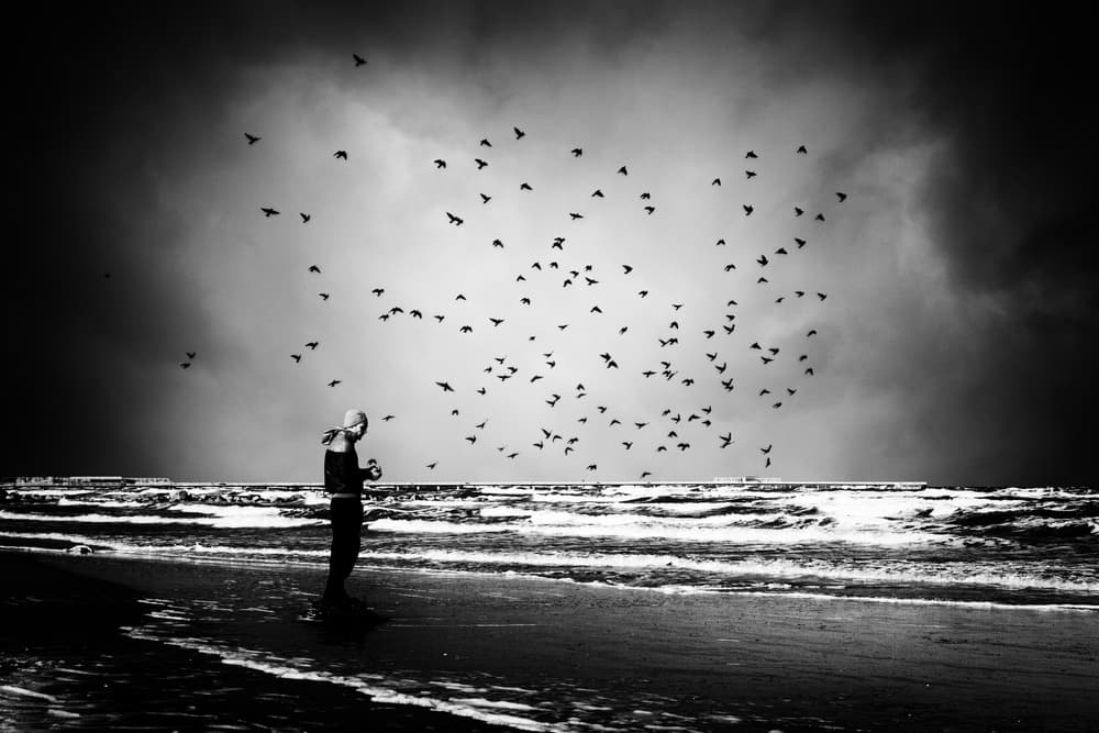 Lone Figure Flying Birds by Bogdan Bouşcă — canvas wall art