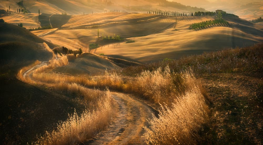 Golden Hills Winding Road by Krzysztof Browko — canvas wall art