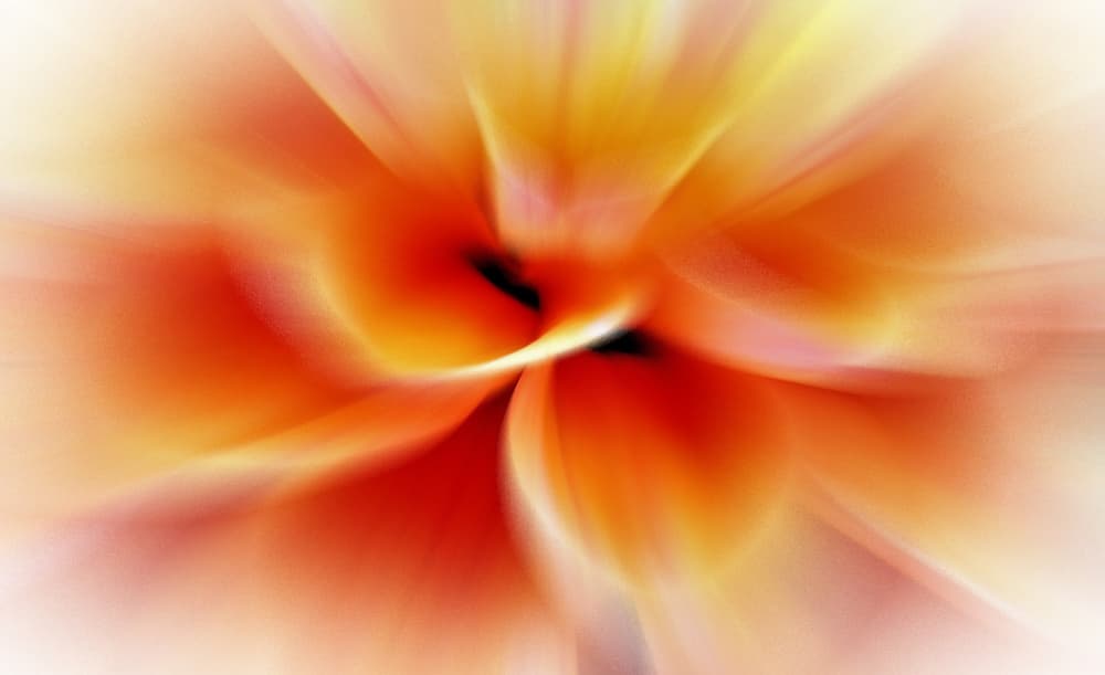 Vibrant Orange Swirl by Anna Cseresnjes — canvas wall art