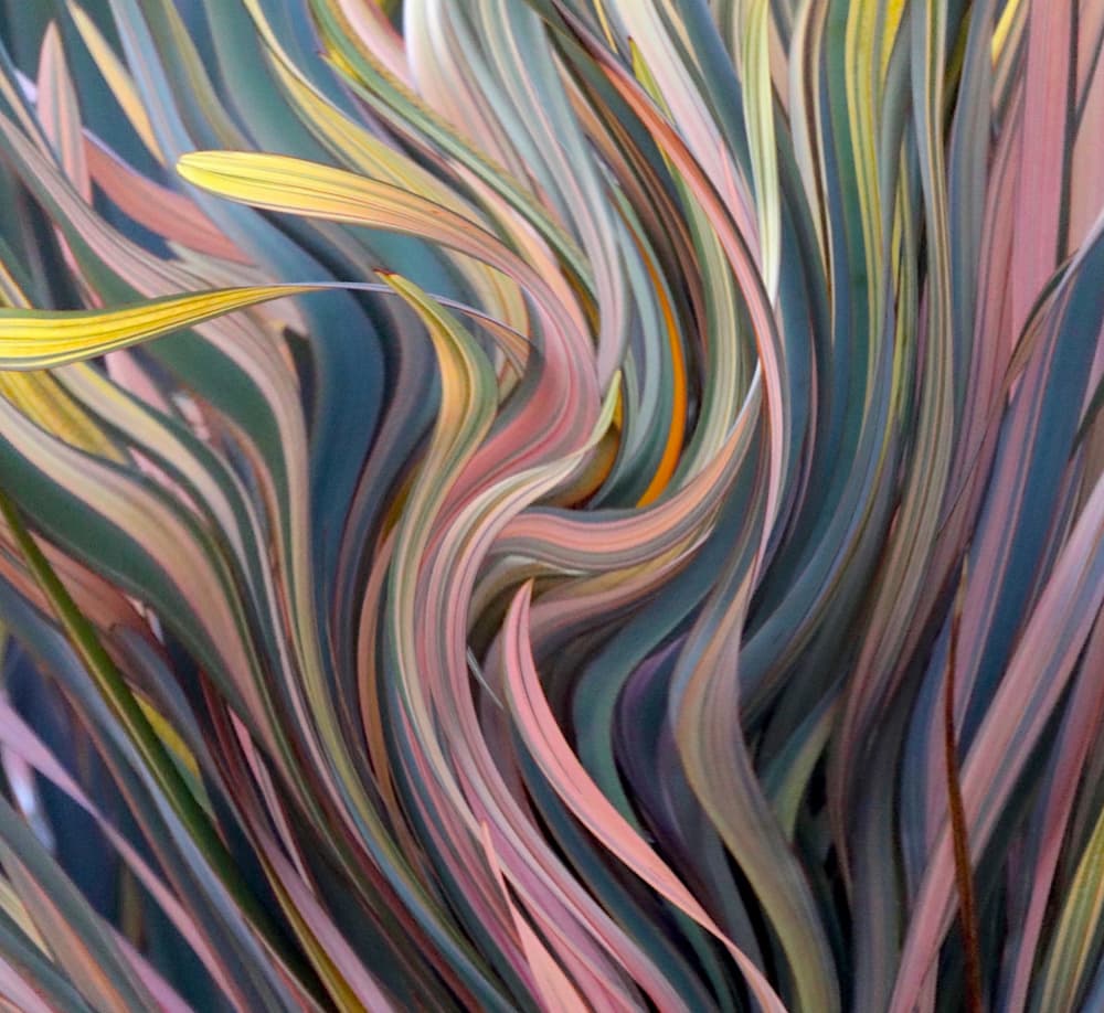 Pastel Abstract Foliage by Robin Wechsler — canvas wall art
