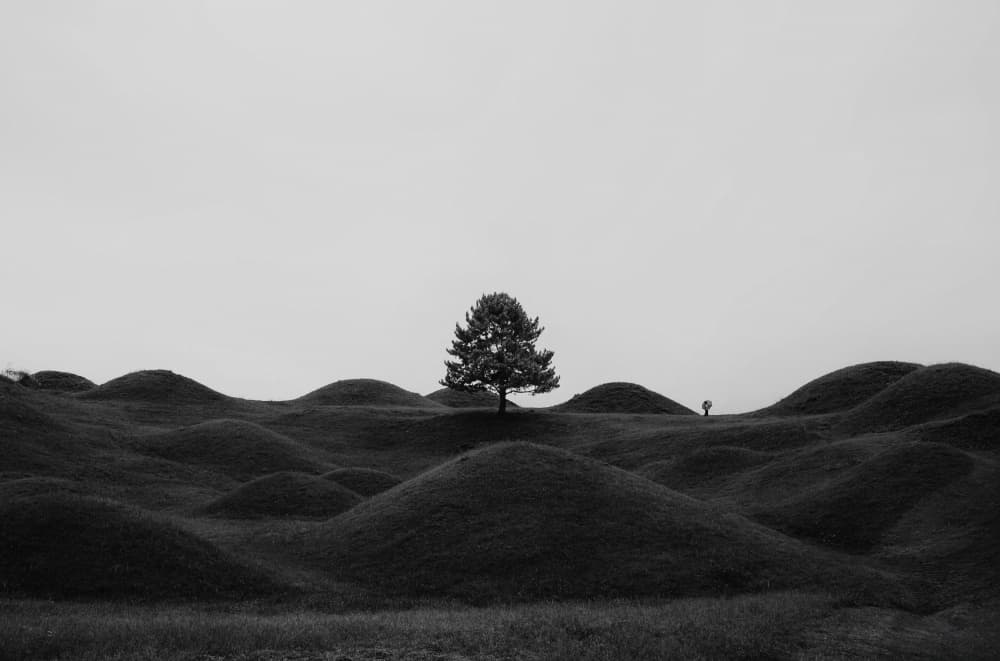 Lone Tree on Rolling Hills by Bong Goo Kang — canvas wall art