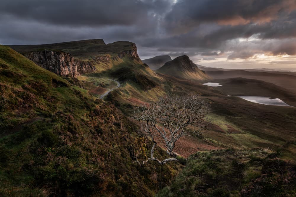 Highland Peaks Lone Tree by Bart Michiels — canvas wall art
