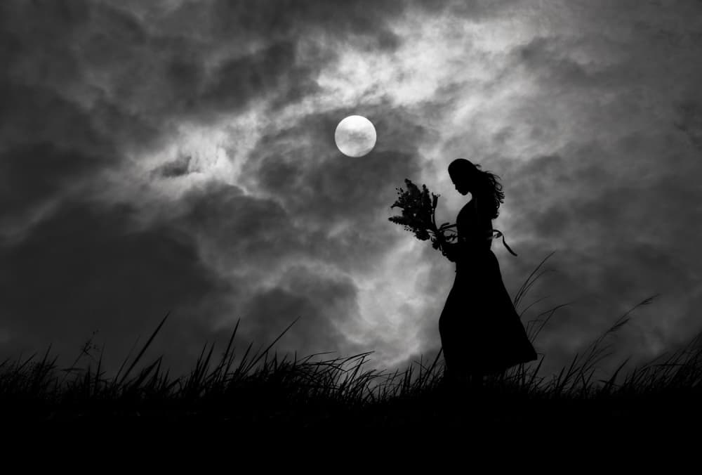Moonlit Silhouette Woman by Hengki Lee — canvas wall art