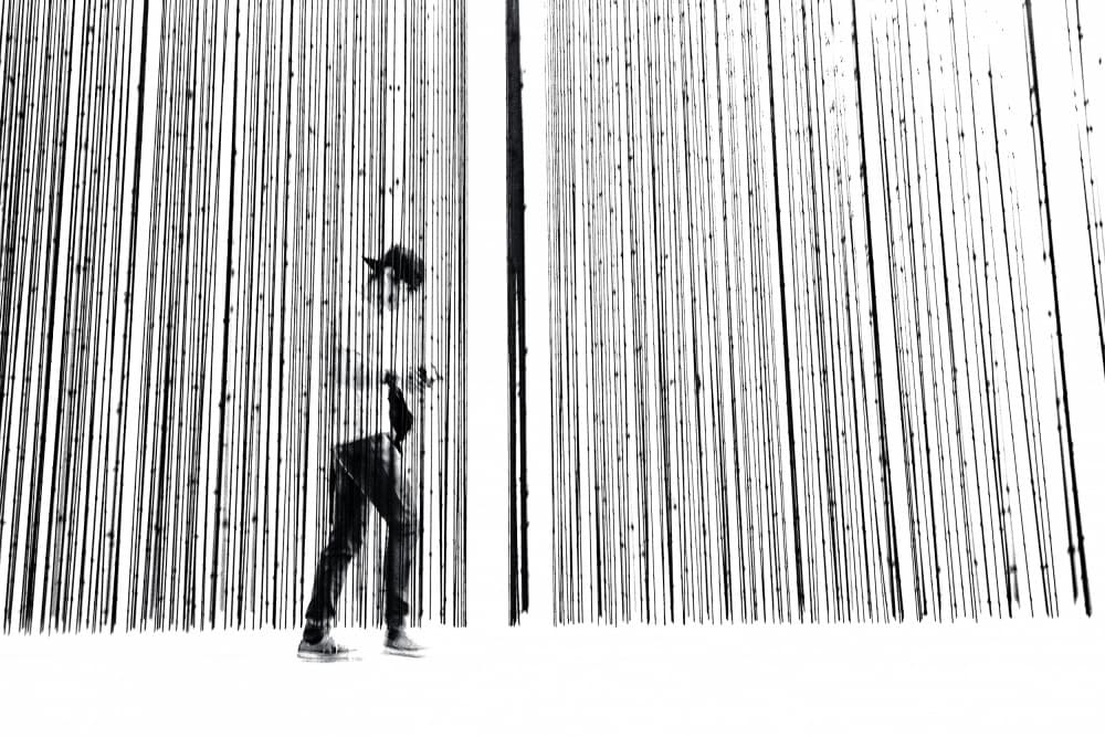 Solitary Bamboo Walk by Amnon Eichelberg — canvas wall art