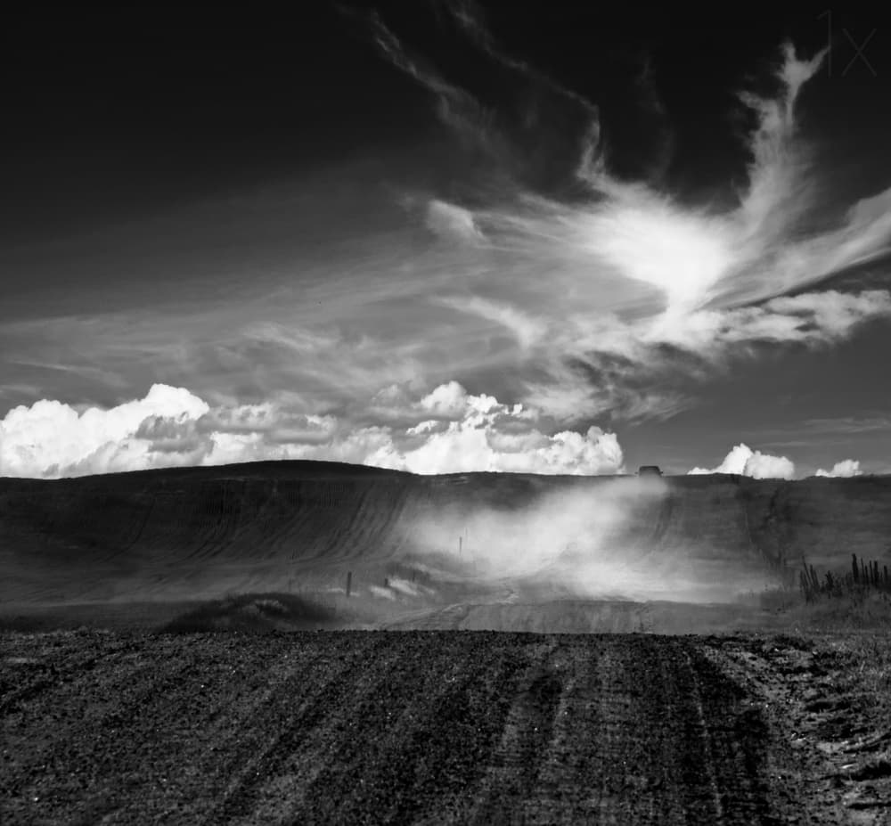 Dusty Rolling Fields by Robert Thomson † — canvas wall art