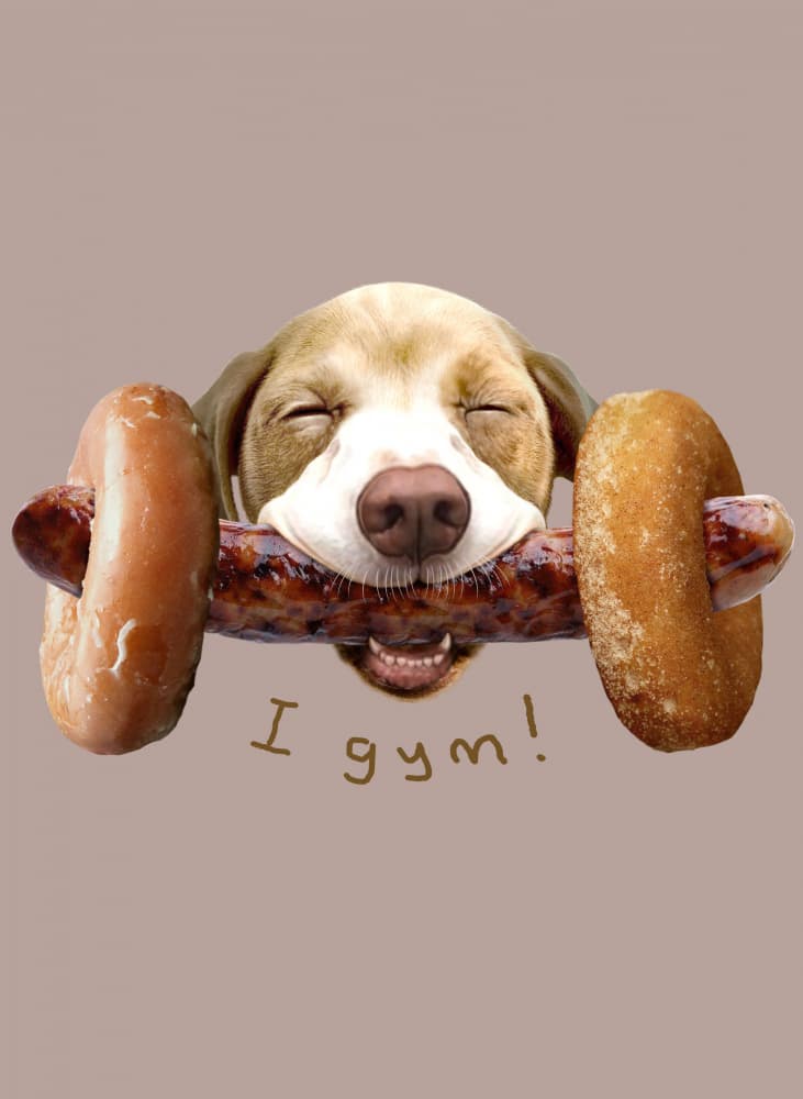 Funny Gym Dog by Adam Lawless — canvas wall art