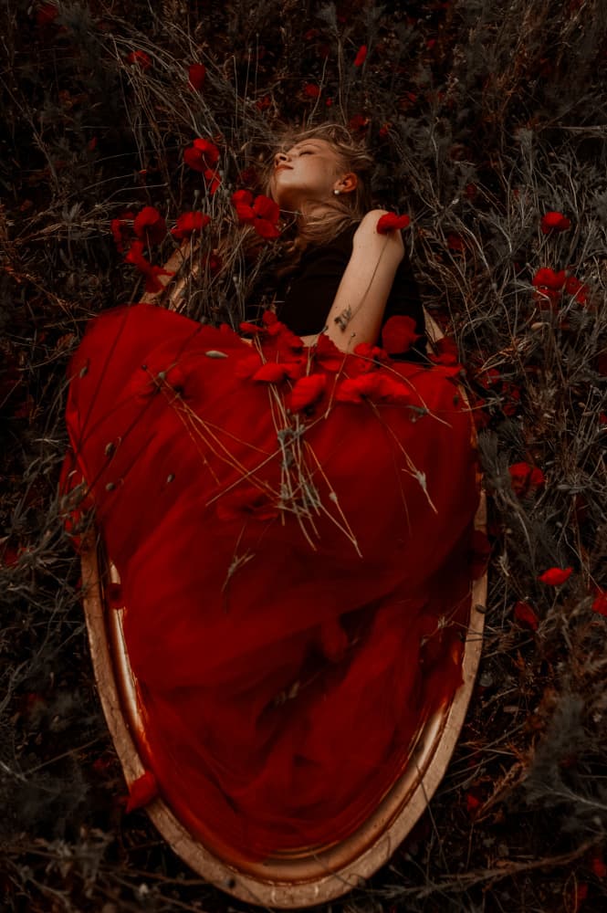 Woman In Red Poppies by Barbora Biňovcová — canvas wall art
