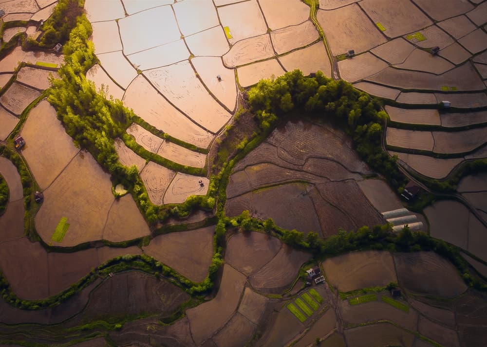 Golden Hour Fields by Majid Behzad — canvas wall art