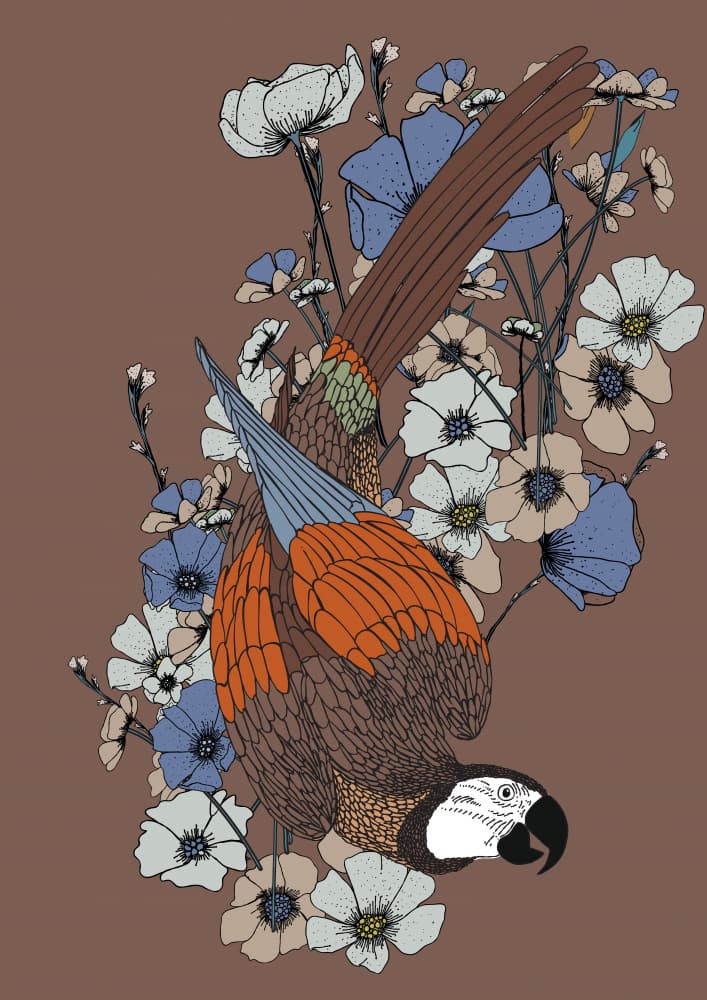 Bohemian Macaw Flowers by Nicholas — canvas wall art