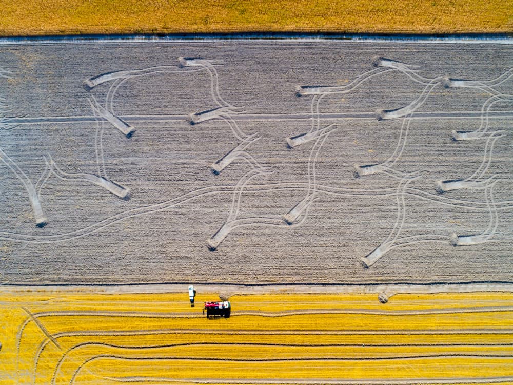 Farming Field Patterns by Mustafa Binol — canvas wall art