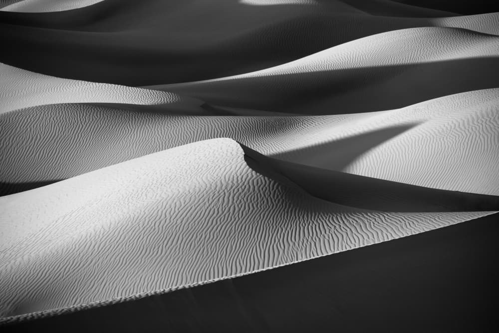 Dune Shadow Play by Rosa Frei — canvas wall art