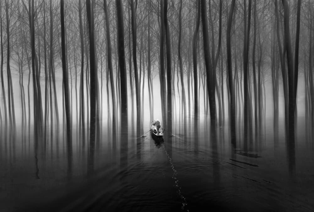 Serene Forest Rowboat by Damijan Sedevcic — canvas wall art