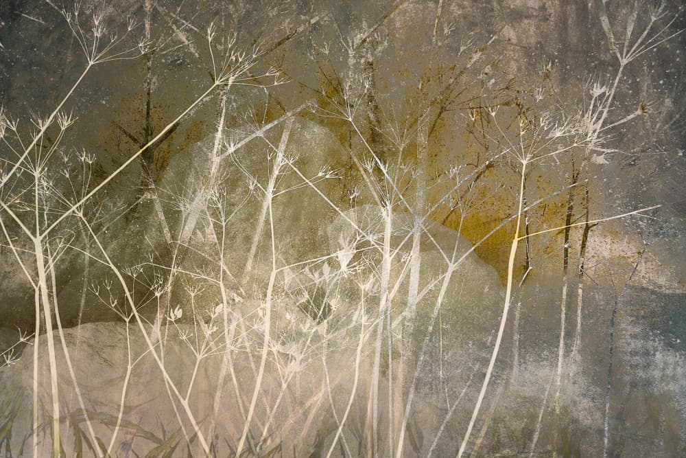 Bloom over by Nel Talen — canvas wall art