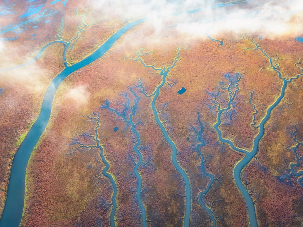 Vibrant Autumn Wetlands by Mei Xu — canvas wall art
