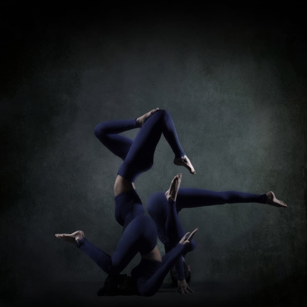 Graceful Yoga Forms by Moein Hasheminasab — canvas wall art