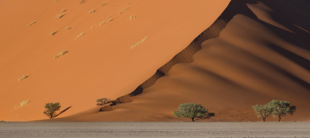 Desert Dune Shadows by Roberto Marchegiani — canvas wall art