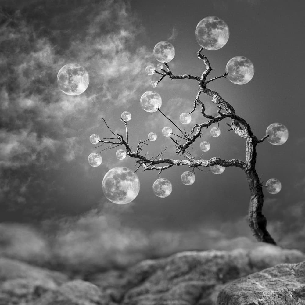 Fantasy Moon Tree by Christian MARCEL — canvas wall art