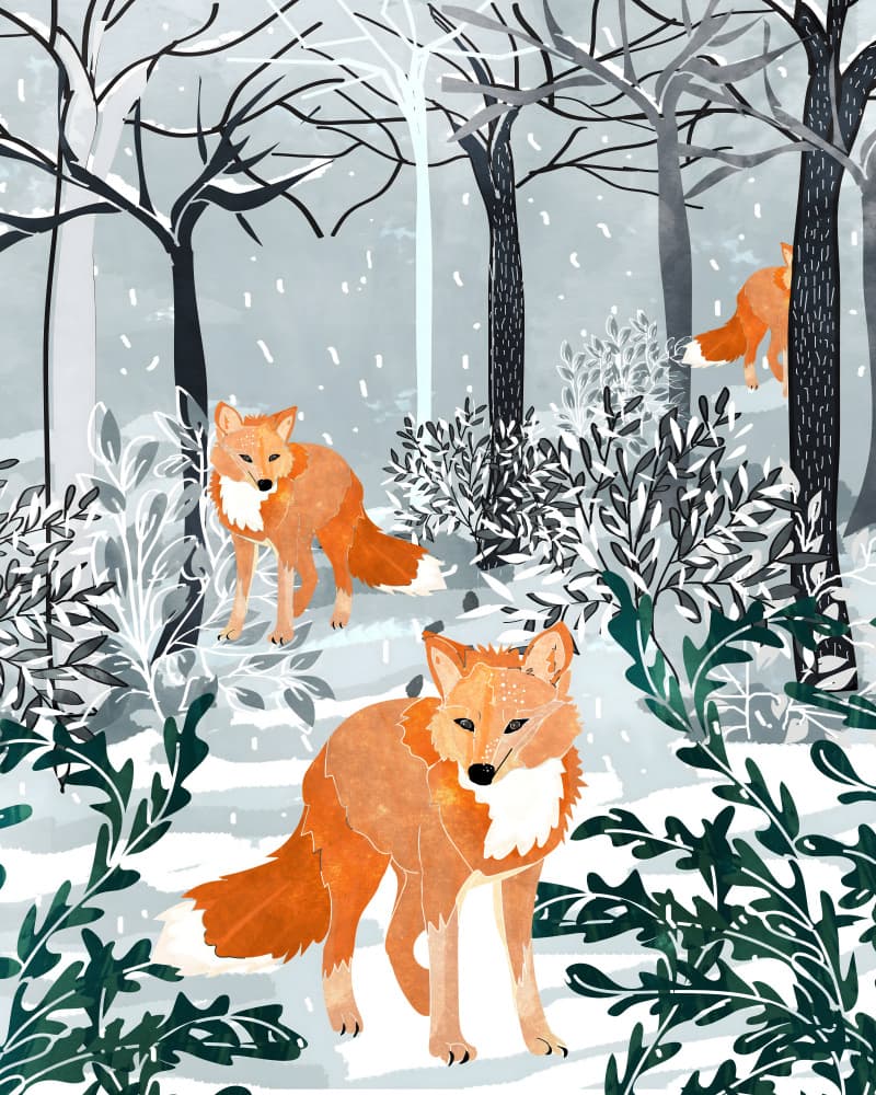 Fox Snow Walk by Uma Gokhale — canvas wall art