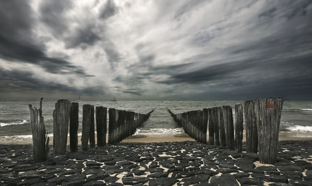 Dark Coastal Pilings by Leon — canvas wall art