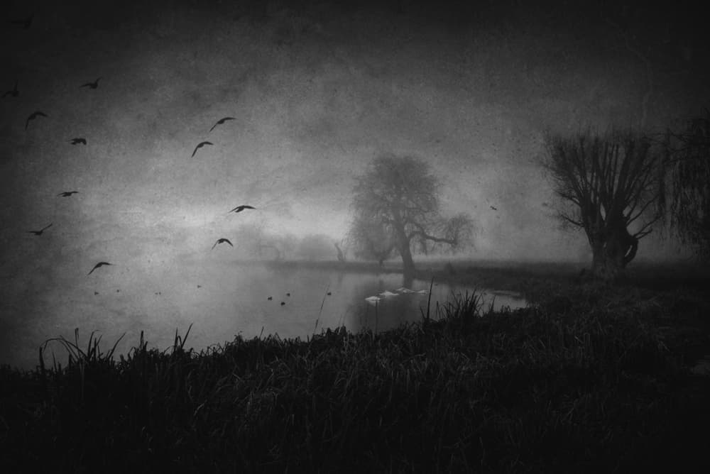 Birds Over Misty Lake by Robert Fabrowski — canvas wall art