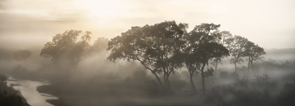 Misty River Morning by Nicola Molteni — canvas wall art