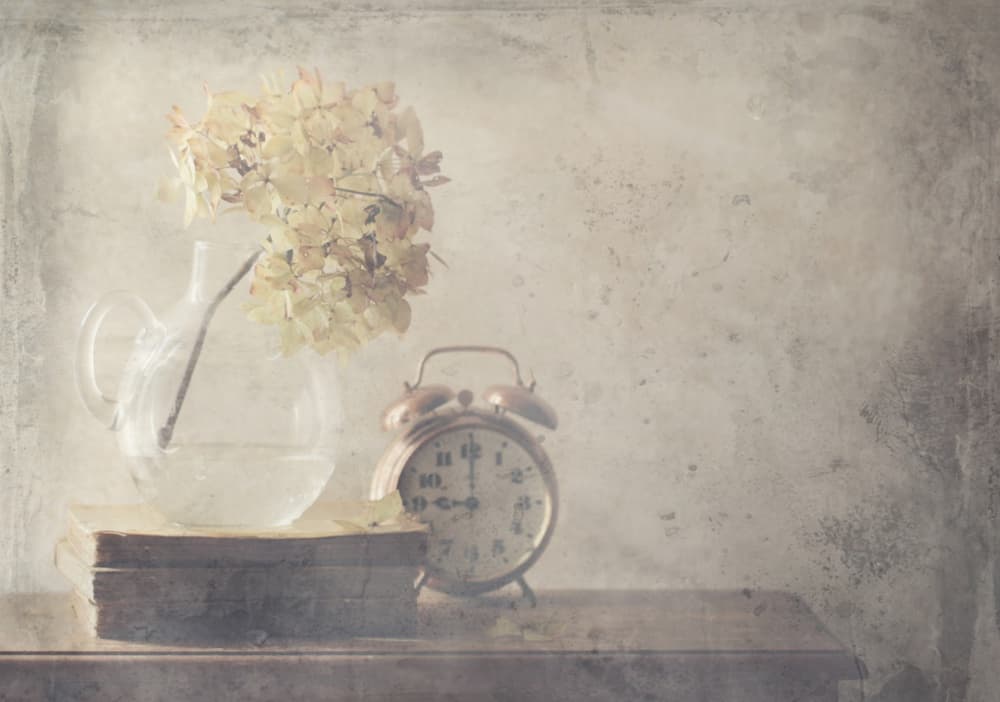Dried Flowers and Old Clock by Delphine Devos — canvas wall art