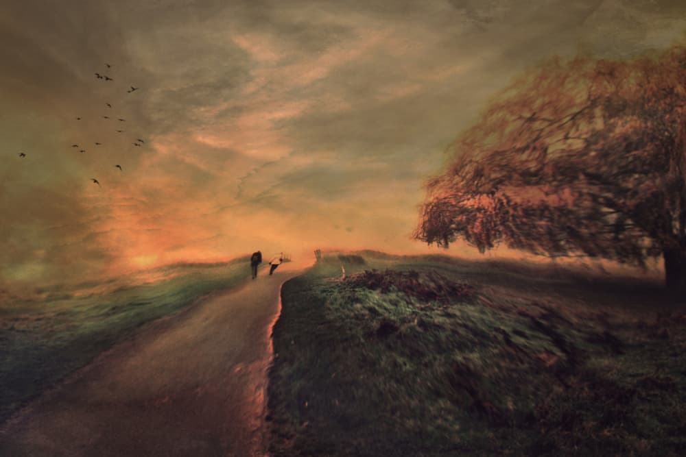 Dreamy Sunset Path by Robert Fabrowski — canvas wall art