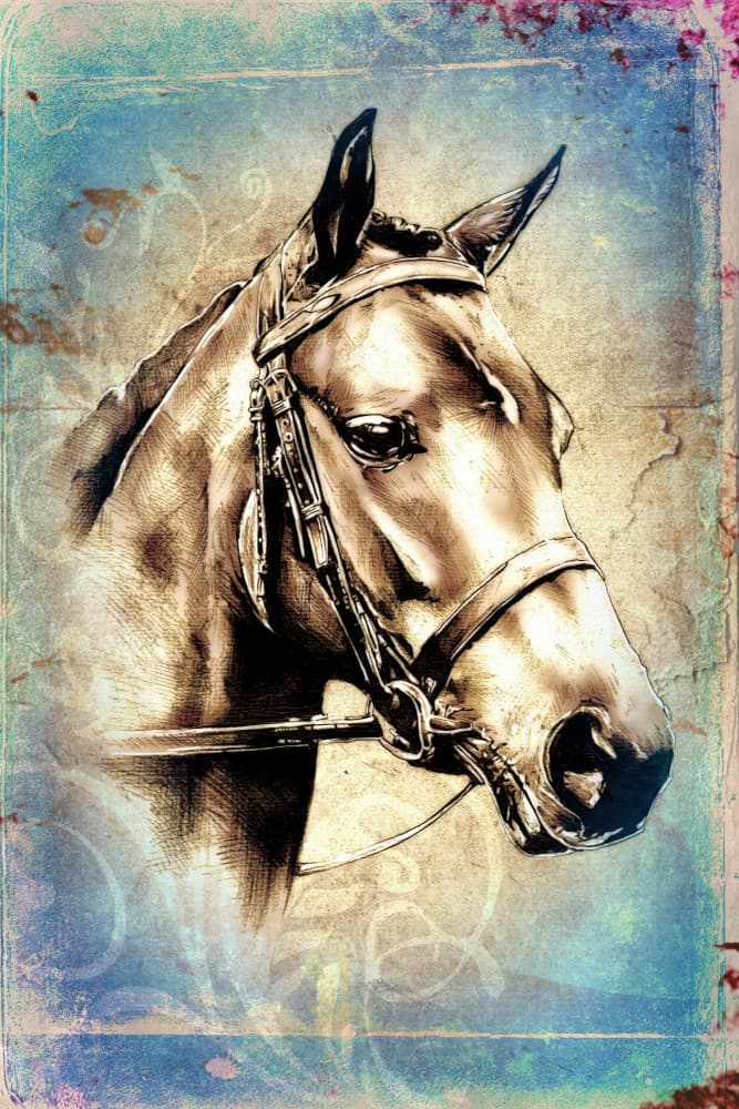 Noble Horse Portrait by Rafal Kulik — canvas wall art