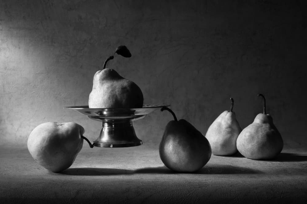 Moody Pear Still Life by Victoria  Glinka — canvas wall art