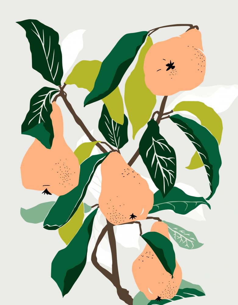 Peachy Pear Branch by Annick — canvas wall art