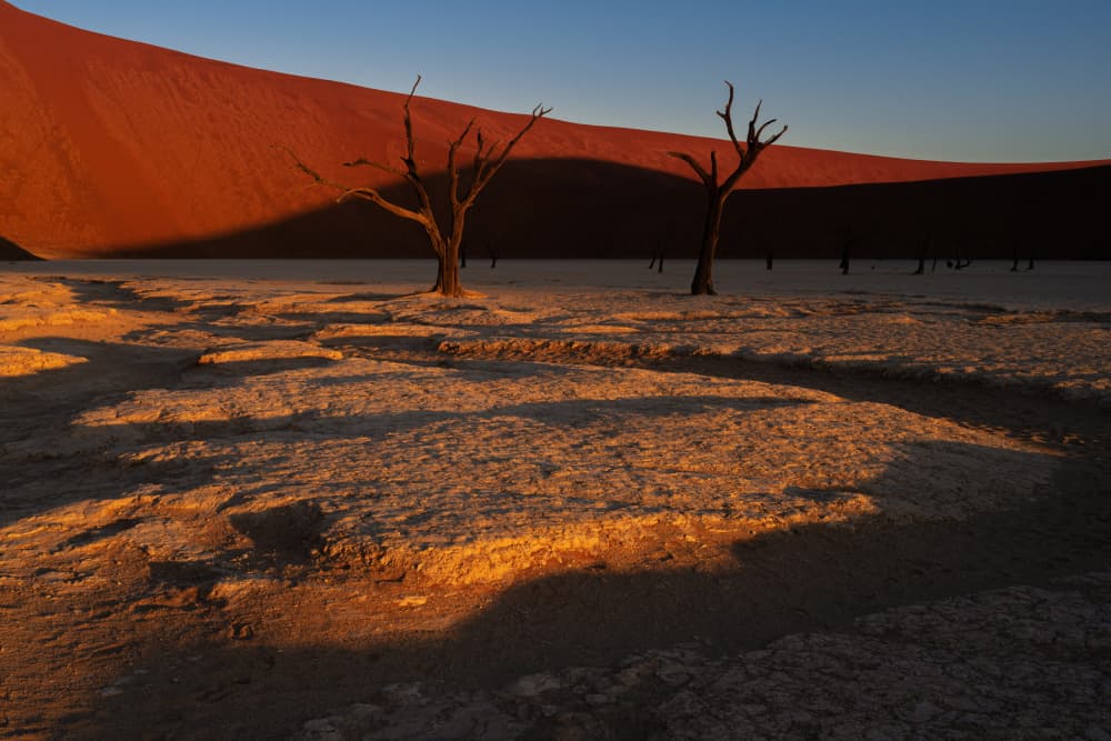 Deadvlei Desert Trees by UU — canvas wall art