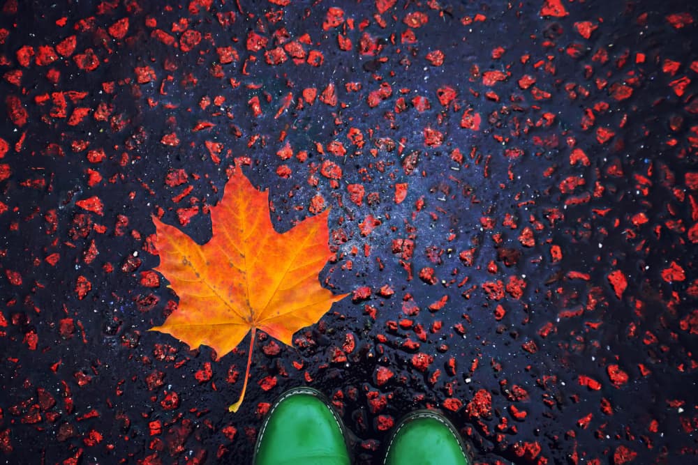 Autumn Maple Leaf and Boots by Ralitsa Byalkova — canvas wall art