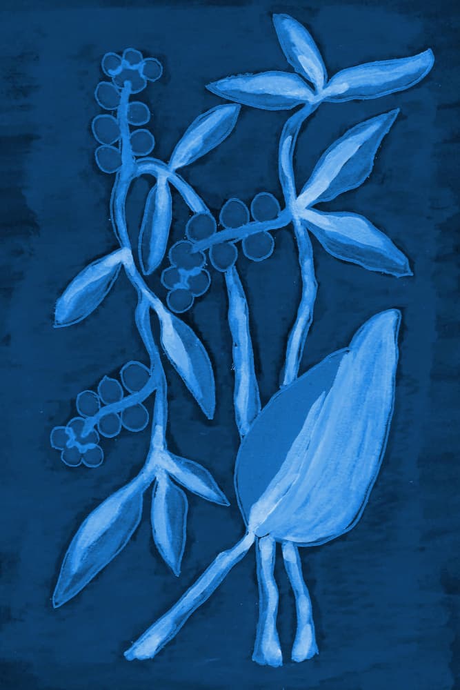 Seed Pod 1 Deep Blue by Lori Ann Folz — canvas wall art