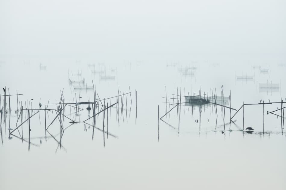 Misty Fishing Waters by Kouji Tomihisa — canvas wall art