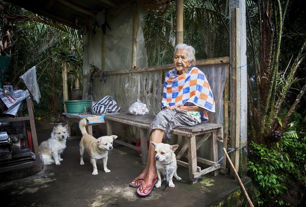 Peaceful Woman and Dogs by Angela Muliani Hartojo — canvas wall art