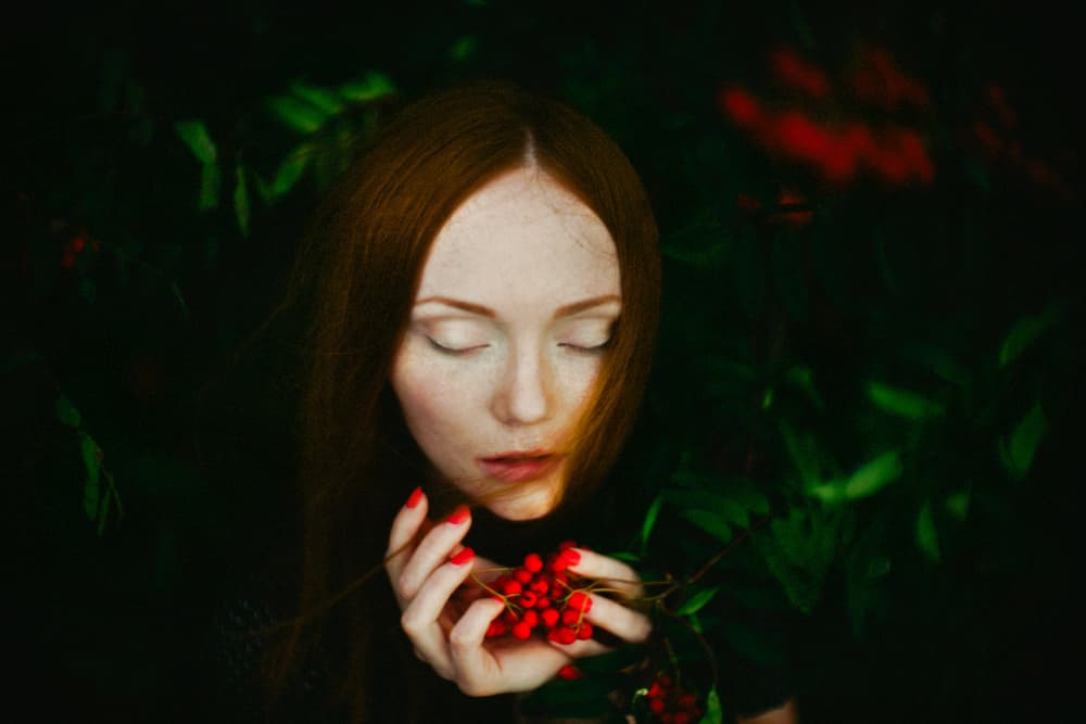 Serene Redhead and Berries by Ruslan Bolgov — canvas wall art