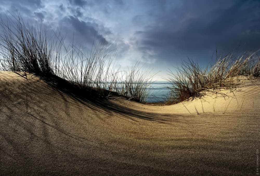 Sandy Dune Ocean View