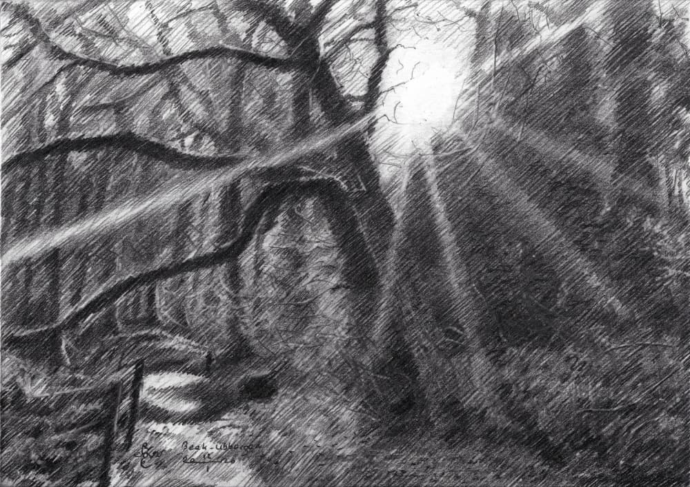 Sunlit Forest Path by Corné Akkers — canvas wall art
