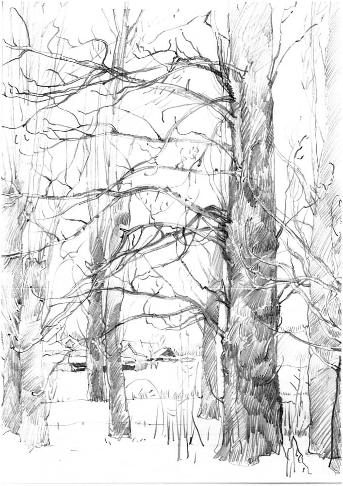 Winter Trees Sketch by Andrii Kutsachenko — canvas wall art