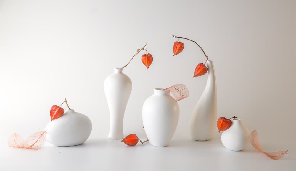 Orange Physalis Still Life by May G — canvas wall art