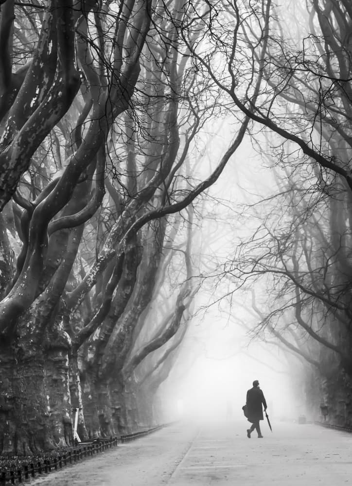Man Walks Foggy Path by Anna Niemiec — canvas wall art