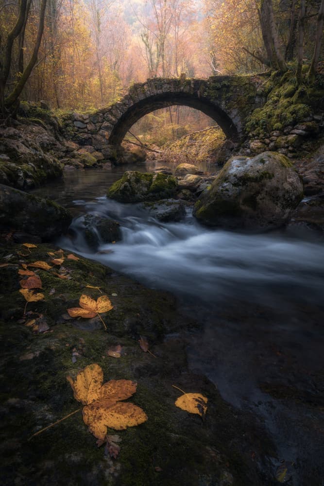 Golden Autumn Stream Bridge by Thomas de Franzoni — canvas wall art