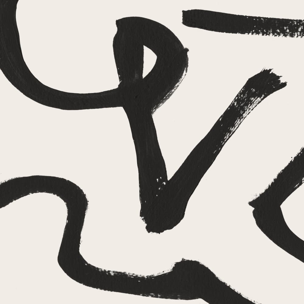 Curvy Lines by Dan Hobday — canvas wall art