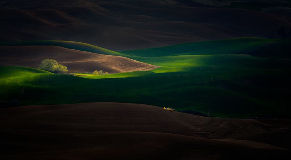 Sunlit Rolling Hills by Phillip Chang — canvas wall art